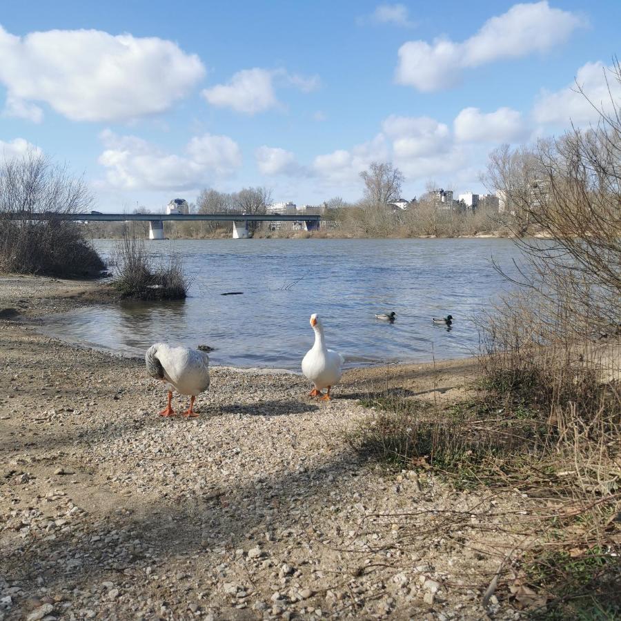 Cocooning Confort Saint Marceau * Orleans